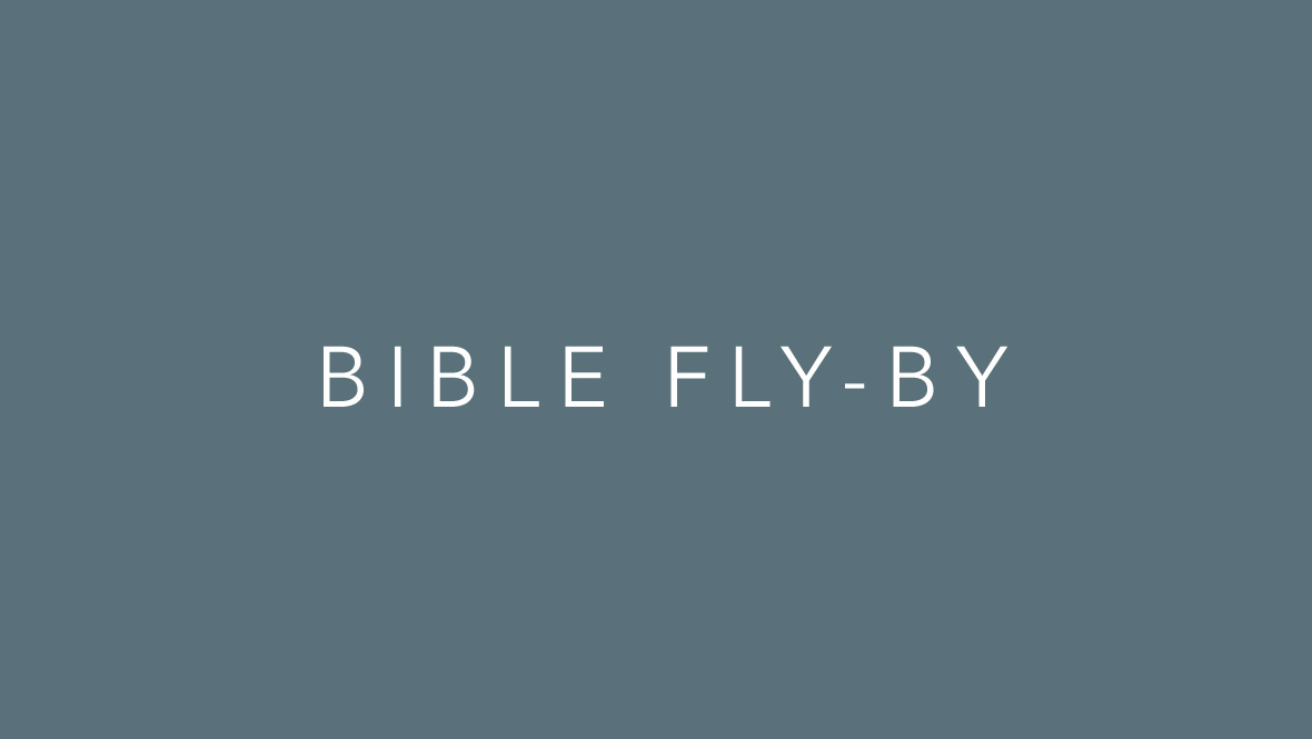 Bible Fly-by