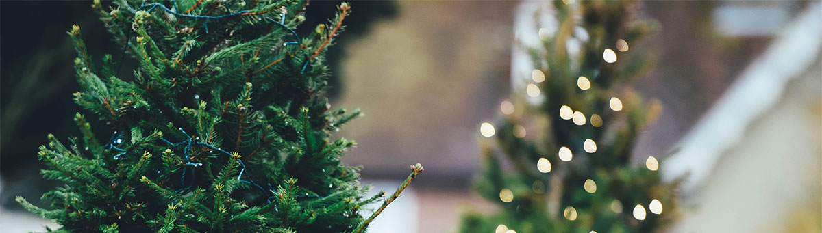 Volunteer at Carlsbad Campus for Christmas Outreach