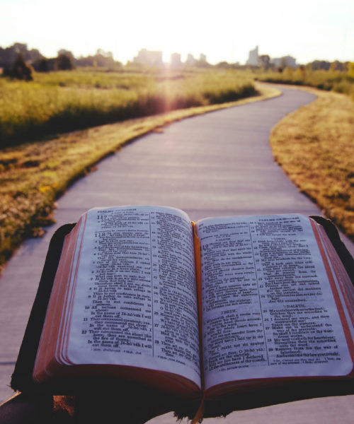 Bible open in the park