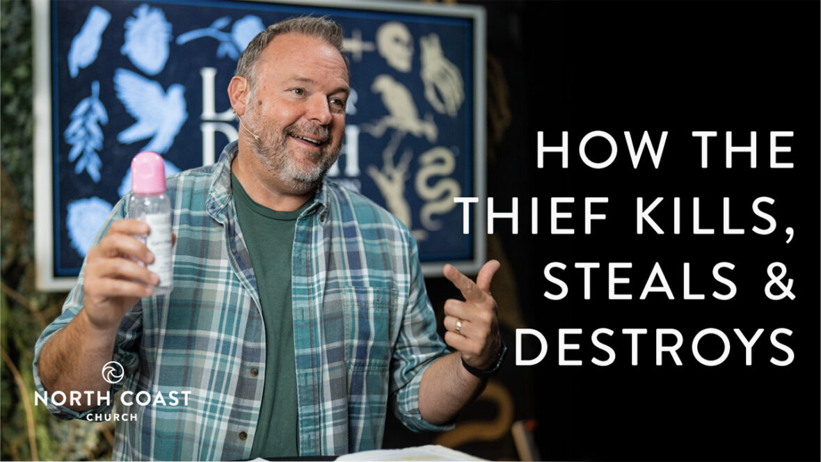 22 - How The Thief Kills, Steals And Destroys Image