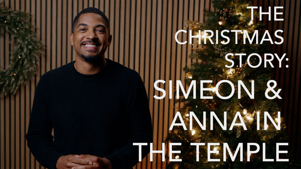 The Christmas Story - Simeon & Anna in the Temple Image