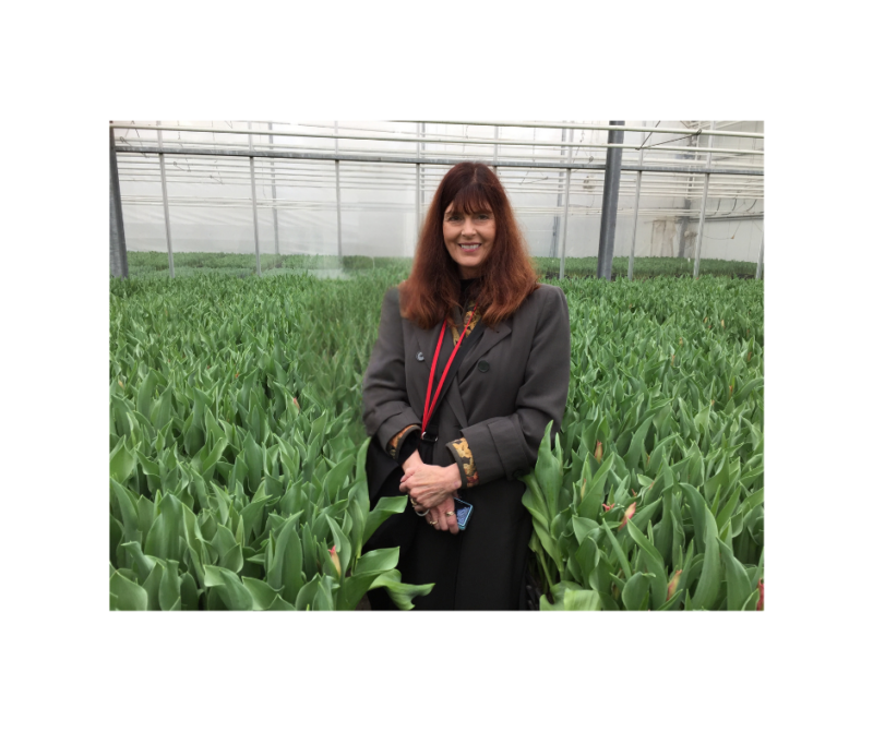 In Loving Memory Of Katie Johnson North Coast Church